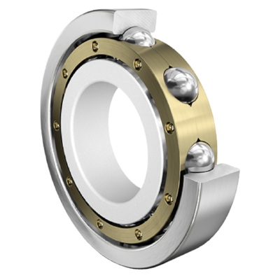 Radial Ball Bearings 6336-M-J20C-C4