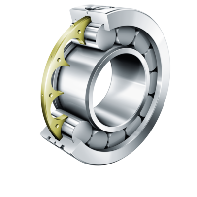 Precision Cylindrical Roller Bearings LSL192334-TB