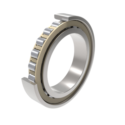 Precision Cylindrical Roller Bearings N1011-K-PVPA1-SP-R10-20