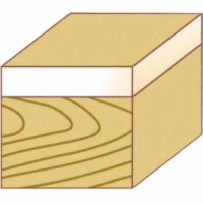 Profile router bit,  trimming with bearing FORTIS, HW, Ø 16 mm, shank 8 mm
